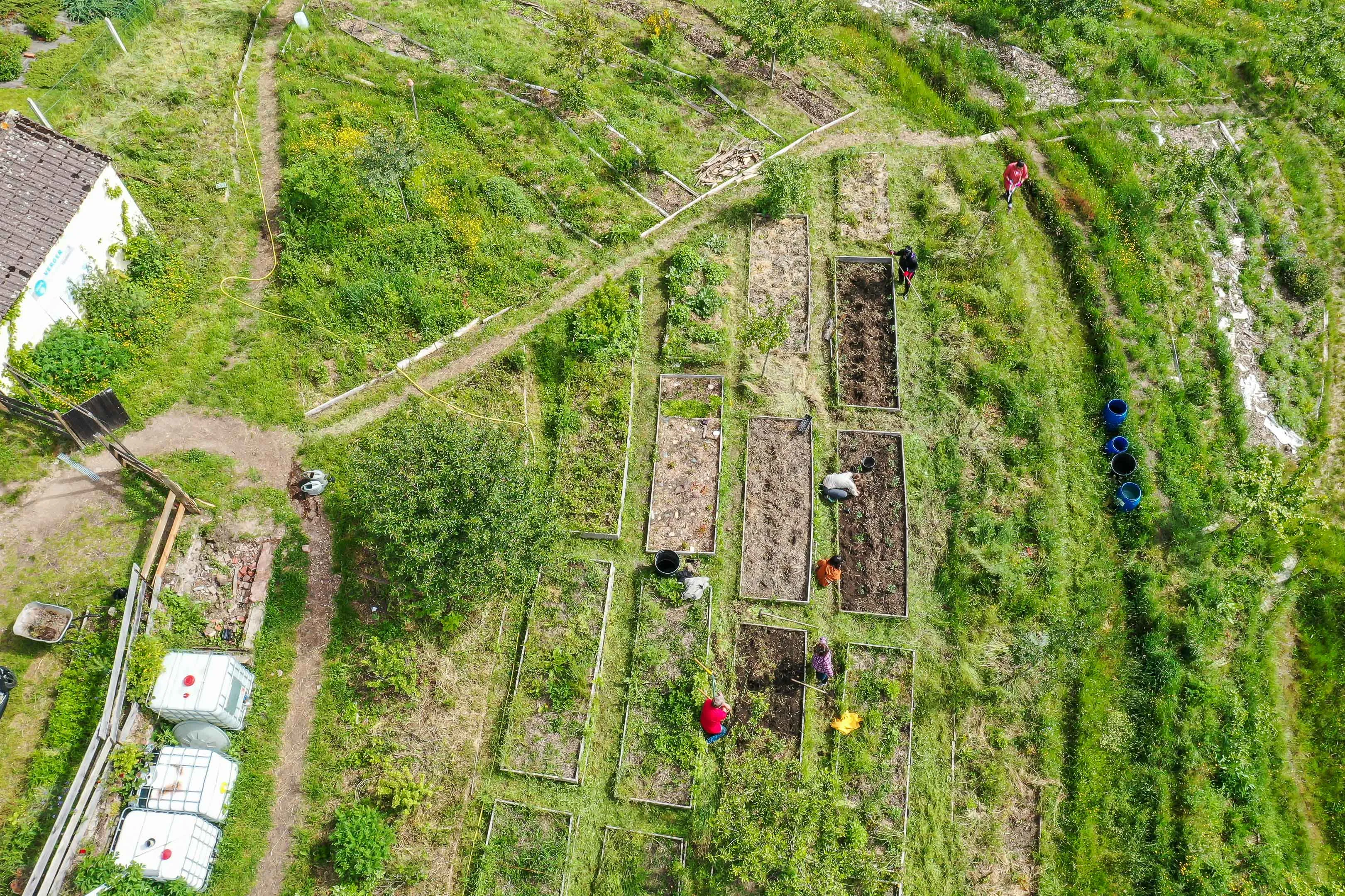 L'Îlot des Combes, Le Creusot — vue du projet